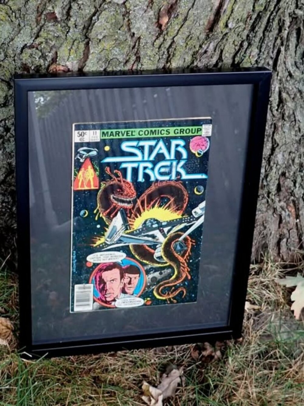 STAR TREK FRAMED COMIC BOOK - HIGH QUALITY FRAME - 12" x 15"